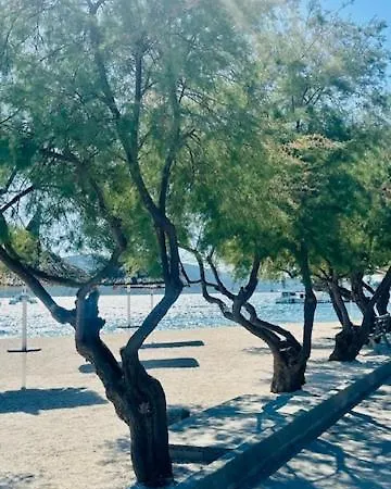 Dalmacija