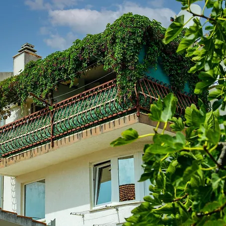 Dalmacija Seget Vranjica